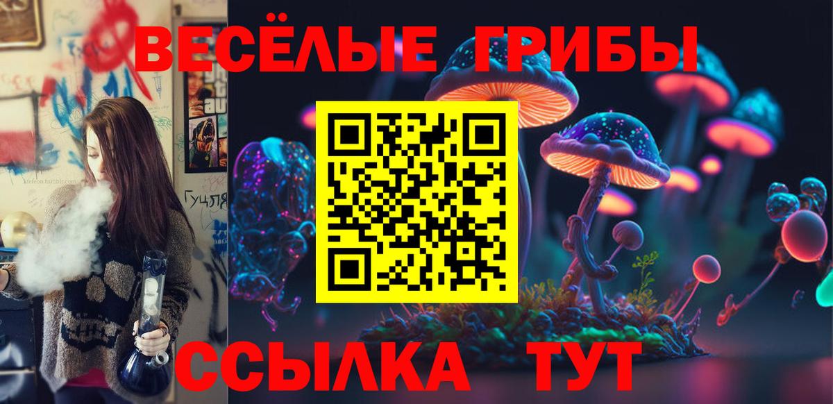 Галлюциногенные грибы Cubensis Отрадное